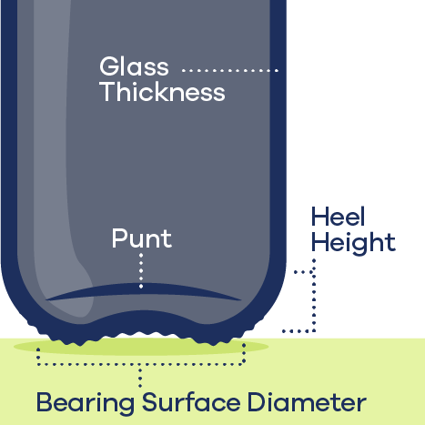 Beer Bottle Base