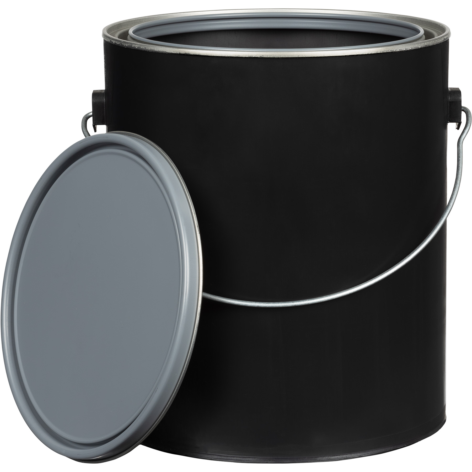 Hybrid paint can