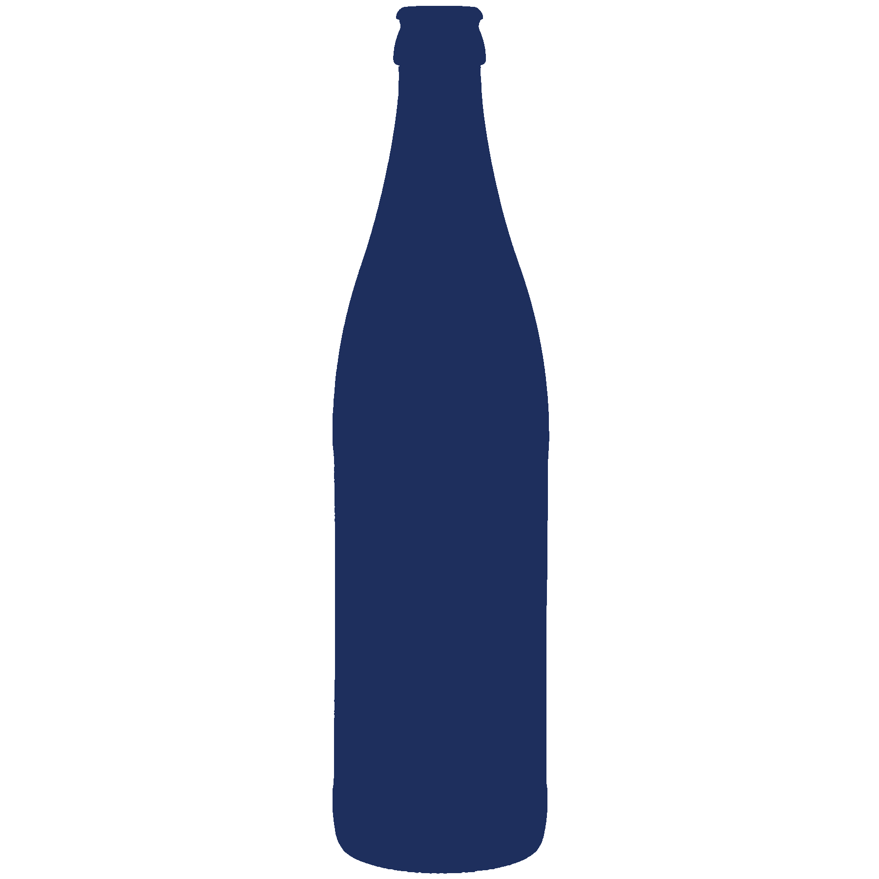 Vichny Beer Bottle Dimensions